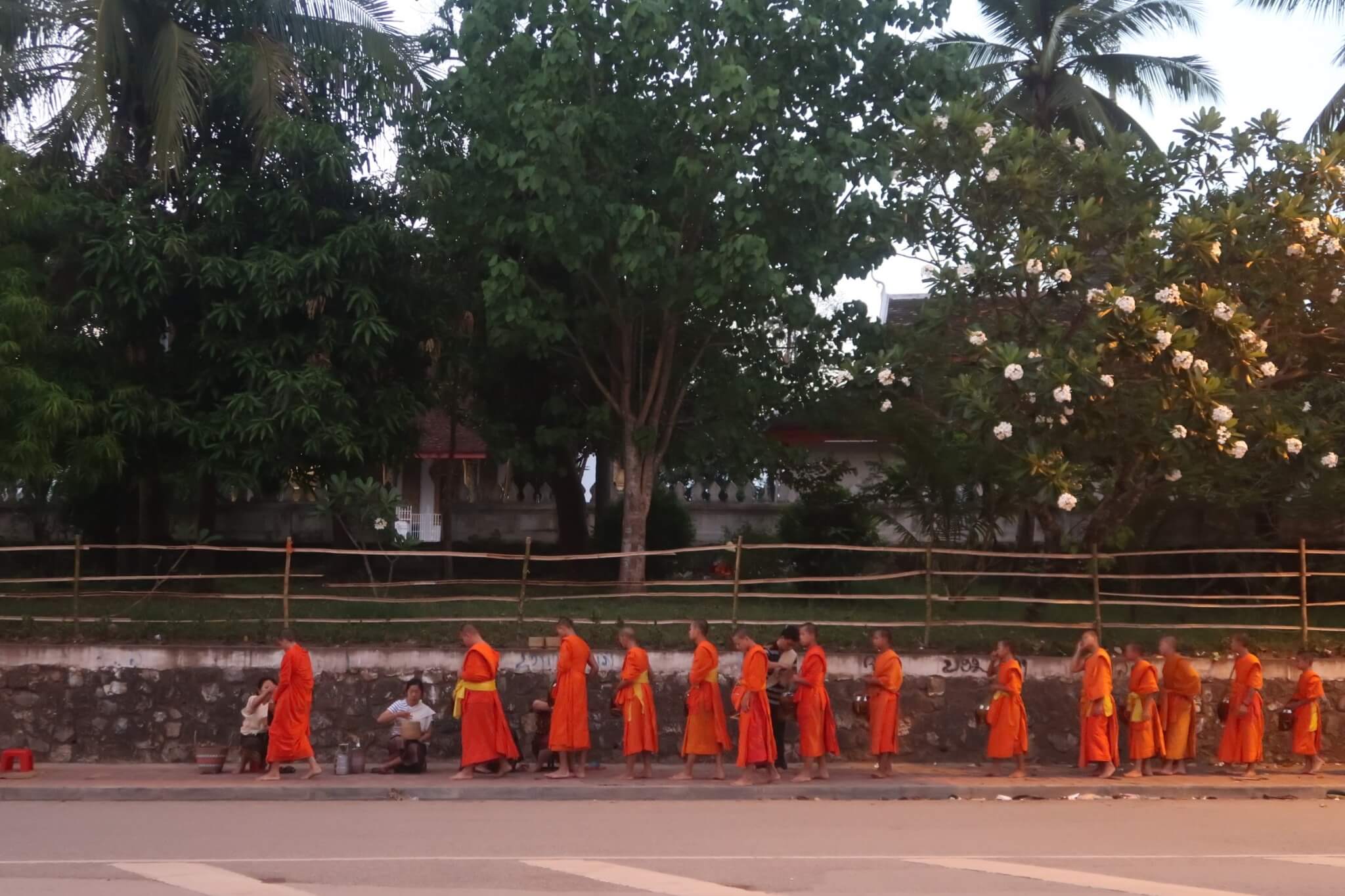 Day 17: Tak Bat in Luang Prabang