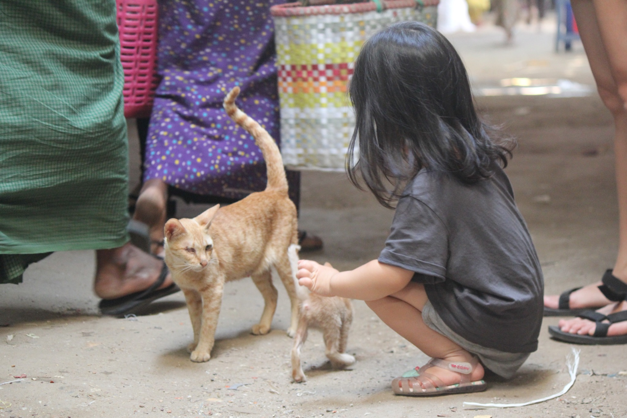 Day 29: Exploring Mani Sithu Market in Bagan, Myanmar