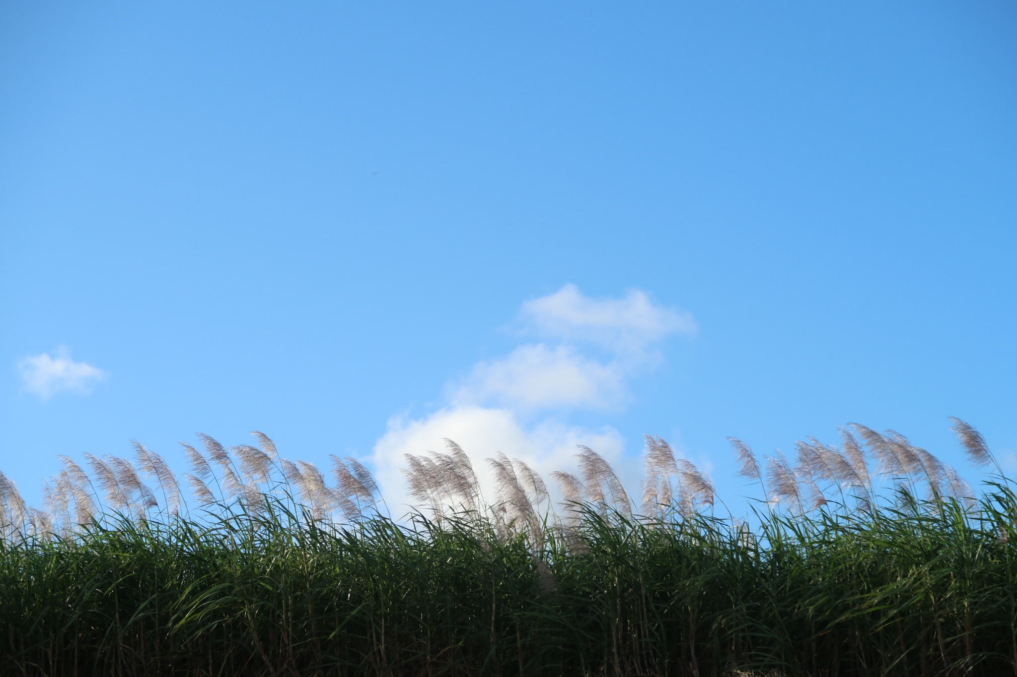 Our Family’s Scenic Arrival in Mauritius: A Paradise Unveiled