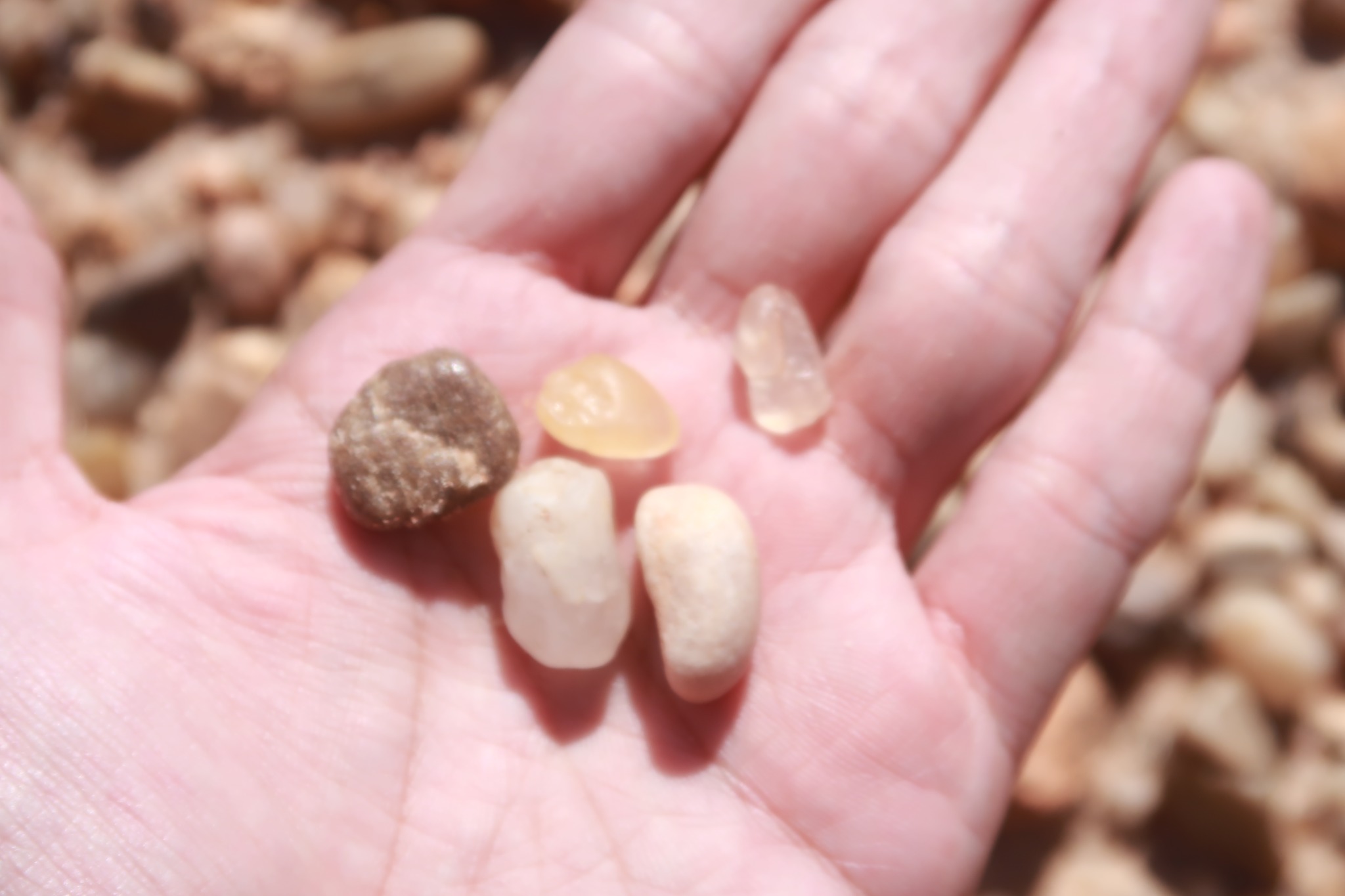 Day 66: Goodbye Morondava, Hello Antsirabe!