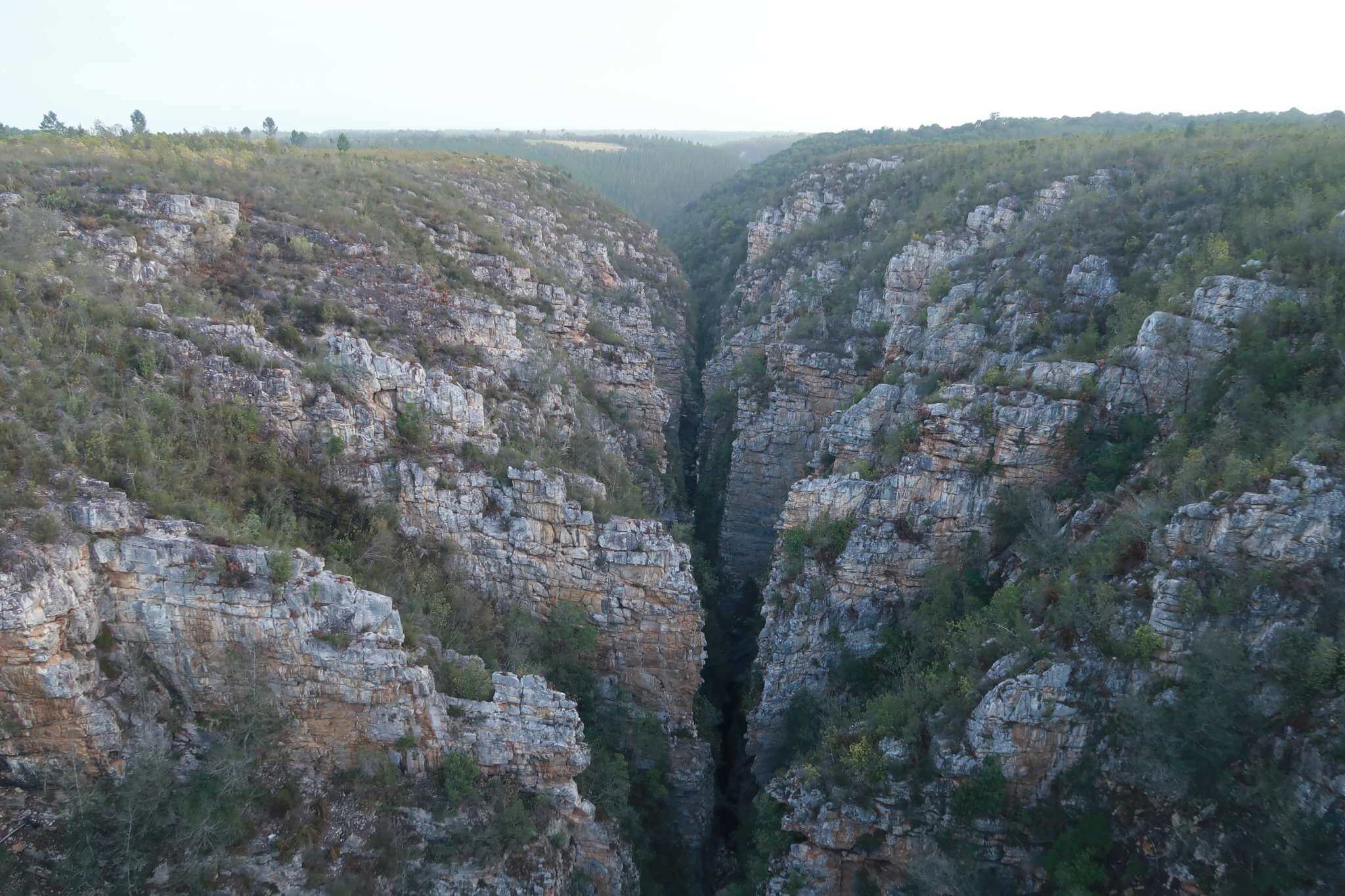 Day 74: South Africa Garden – Storms River & Tsitsikamma