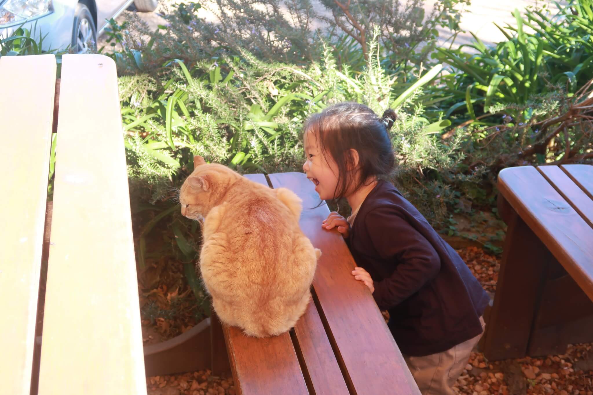 South Africa Garden Route – Glentana, Mossel Bay & Heidelberg