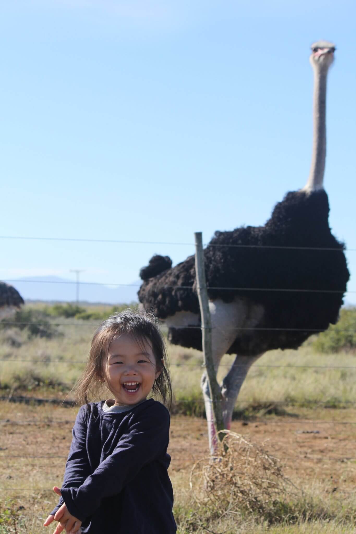 Day 75:South Africa Road Trip with Baby –Witsand & Cape Agulhas