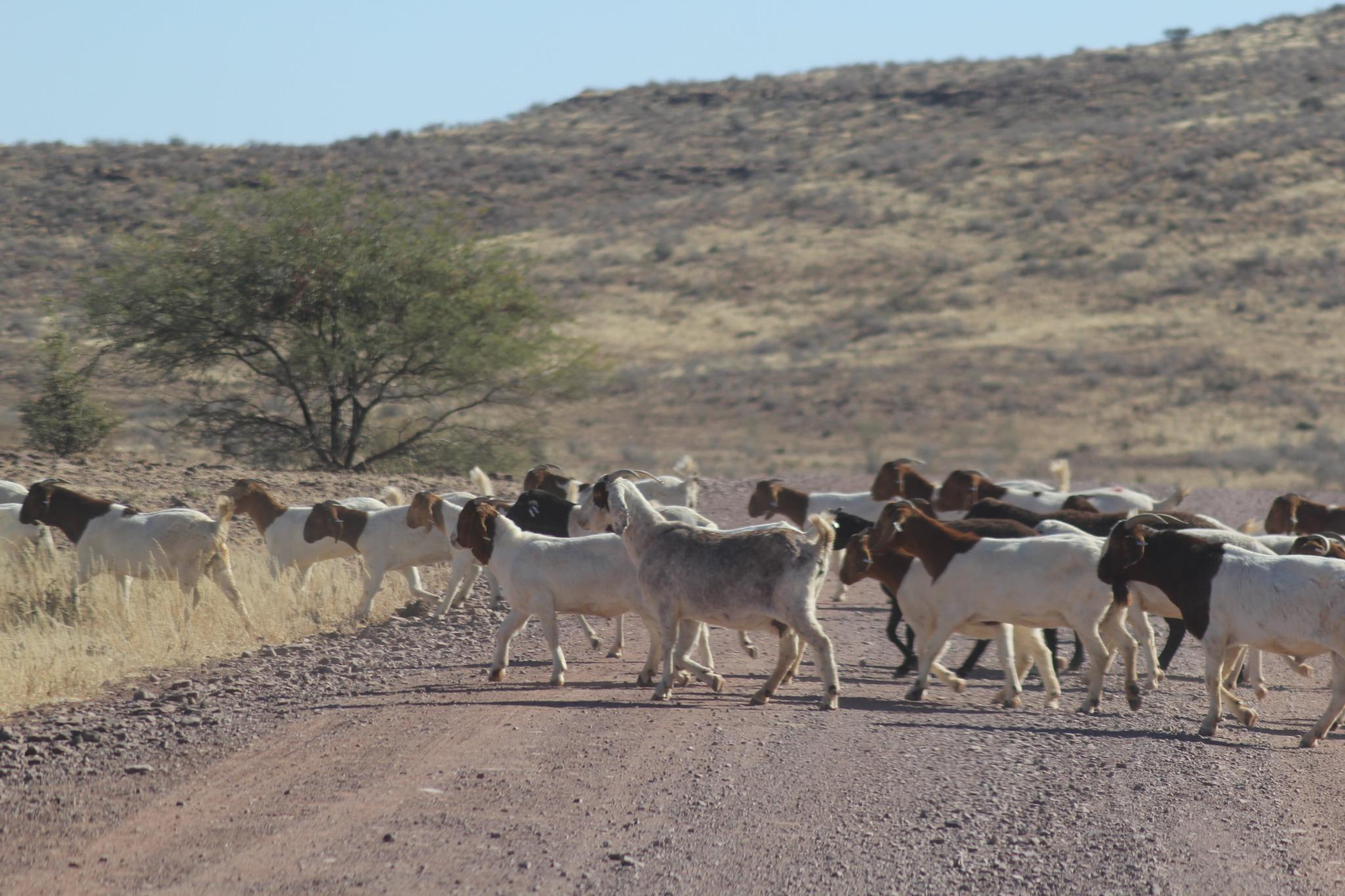 Namibia Road Trip with a Baby: Keetmanshoop to Sesriem