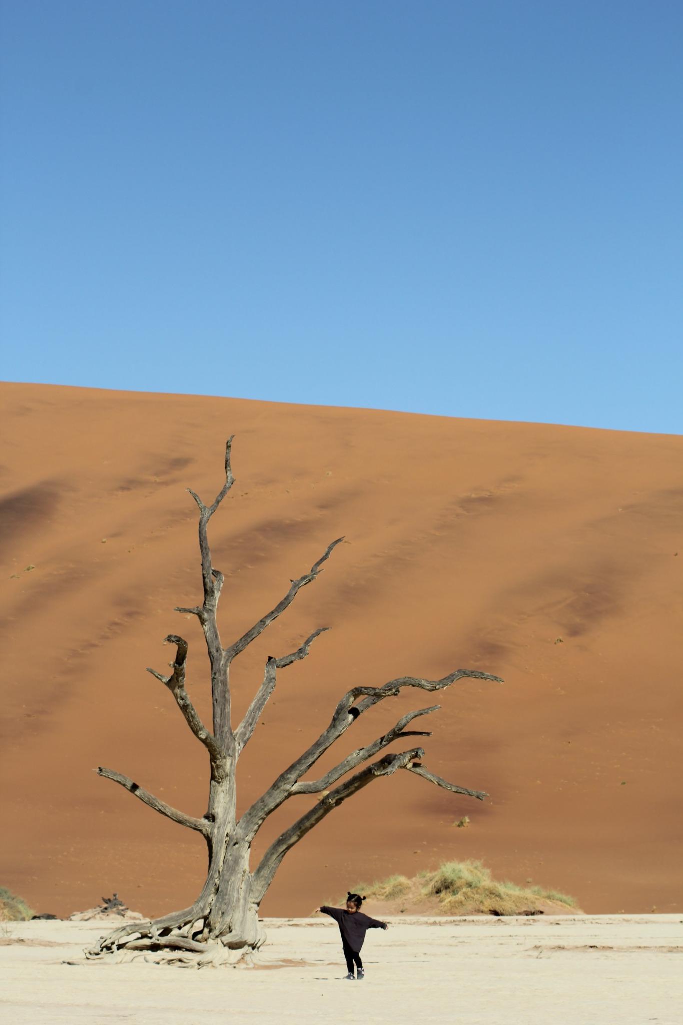 Sweetie wandered through Sossusvlei like it was her own desert playground, chasing shadows and stirring up little clouds of sand.