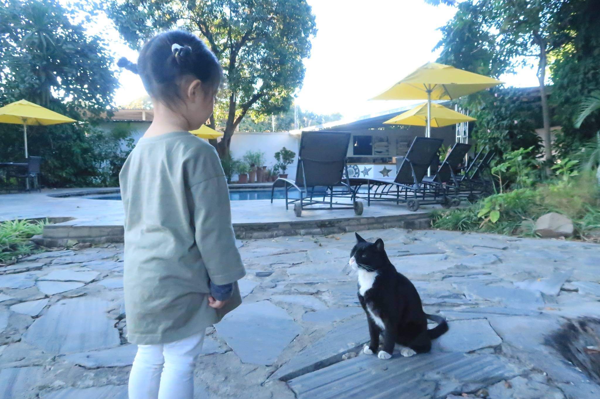 Livingstone Zambia Travel with Baby – Rest Day at Fawlty Towers